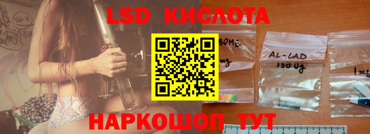 Бердск  LSD-25 экстази кислота  hydra ссылка  ЛСД экстази кислота  Вход с VPN 