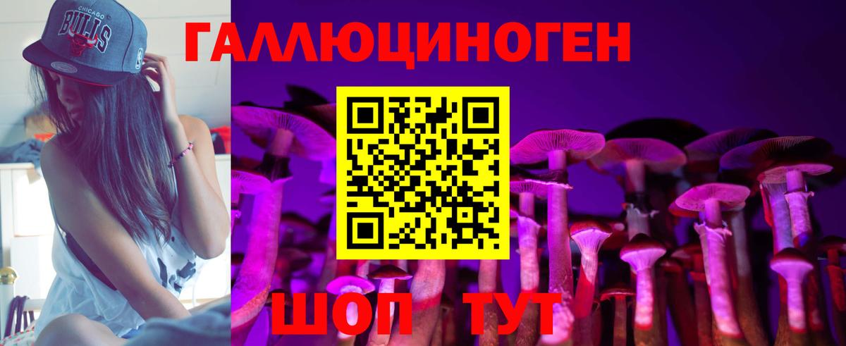 Галлюциногенные грибы Psilocybine cubensis Бердск
